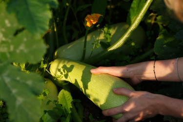 Similar image 8806347