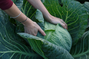 Similar image 8806351