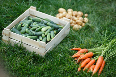 Similar image 8806377