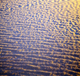 Similar image 8806508