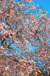 Similar image 8807142