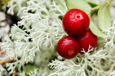 Similar image 8807494