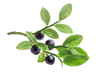 Similar image 8807750