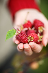 Similar image 8808096