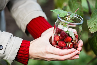 Similar image 8808107