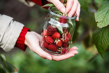 Similar image 8808114