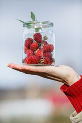 Similar image 8808201