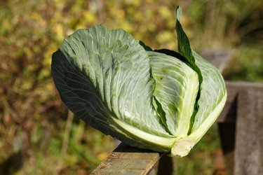 Similar image 8808208