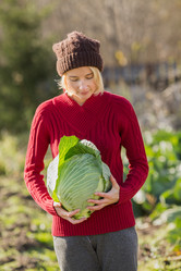 Similar image 8808210