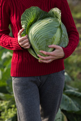 Similar image 8808219