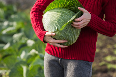 Similar image 8808222