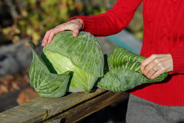 Similar image 8808225