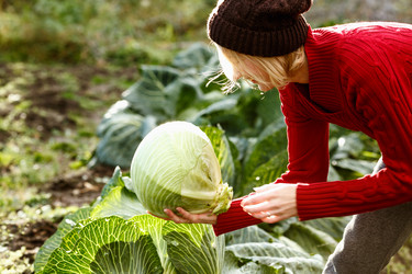 Similar image 8808316