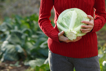 Similar image 8808322