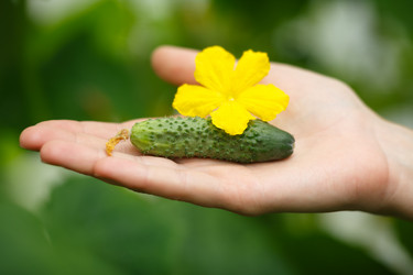 Similar image 8808529