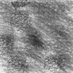 Similar image 8808603