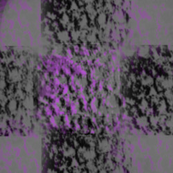 Similar image 8808727