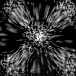 Similar image 8808894