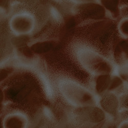 Similar image 8809092