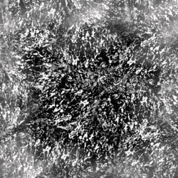 Similar image 8809124