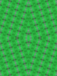 Similar image 8809511