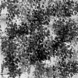 Similar image 8809531