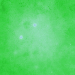 Similar image 8809556