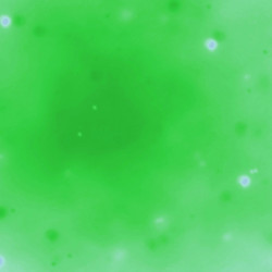 Similar image 8810046