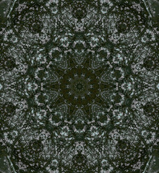 Similar image 8810159