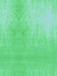 Similar image 8810161