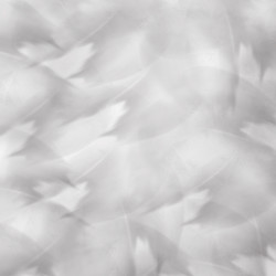 Similar image 8810247