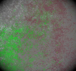 Similar image 8810551