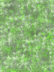 Similar image 8810585