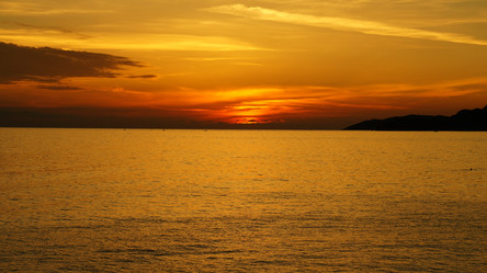 Similar image 8811163