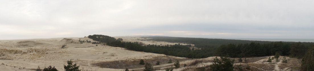 Similar image 8811168