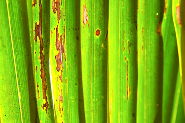 Similar image 8811819