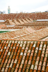 Similar image 8812526