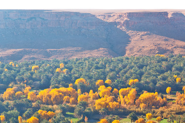 Similar image 8812789