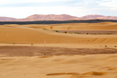 Similar image 8812918