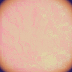 Similar image 8813278