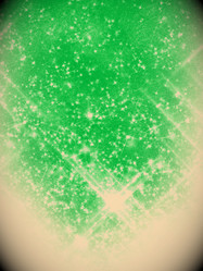 Similar image 8813316