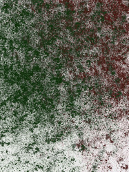 Similar image 8813352