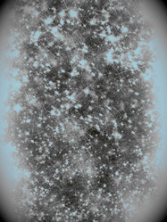 Similar image 8813354