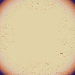 Similar image 8813372