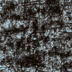 Similar image 8813412