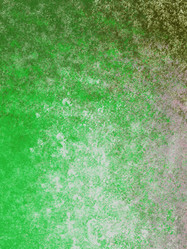 Similar image 8813446