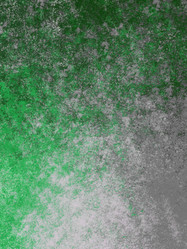 Similar image 8813453