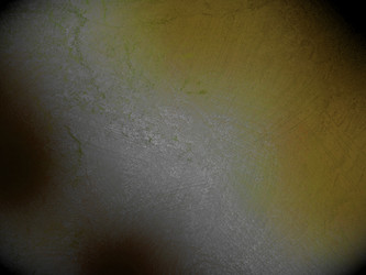 Similar image 8813636