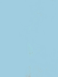 Similar image 8813638