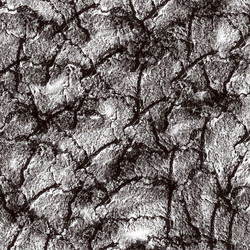 Similar image 8813829